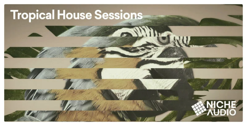 Niche Audio Tropical House Sessions interface