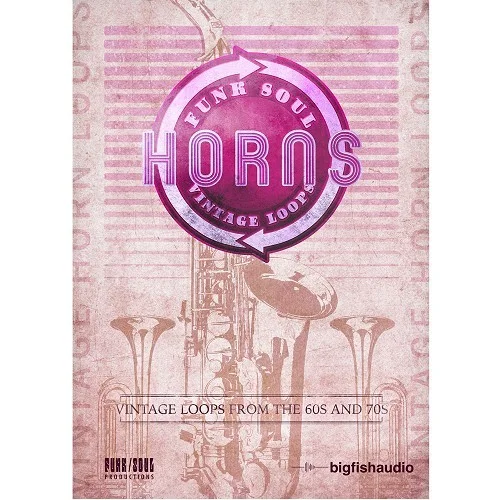 Big Fish Audio Funk Soul Vintage Horn Loops interface