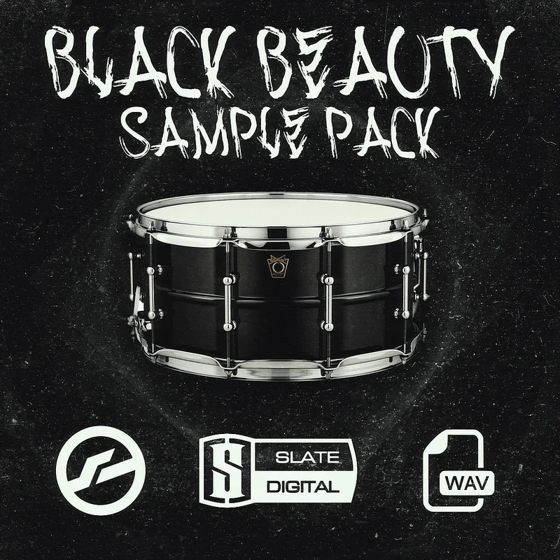 Prather Audio Black Beauty: Advanced interface
