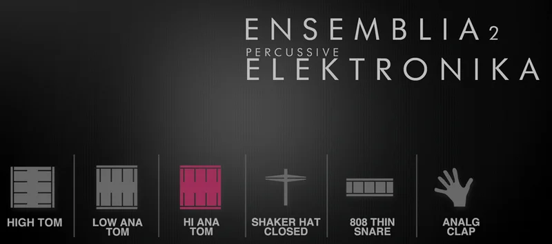 Cinematique Instruments Ensemblia 2 Elektronika interface