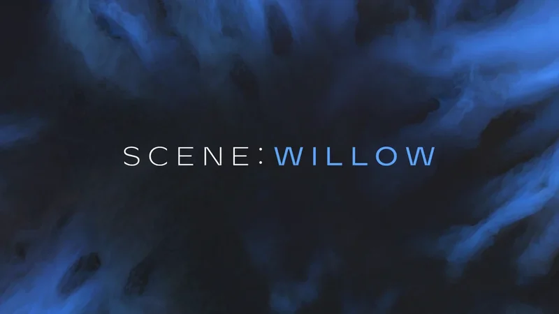 Scene: Willow interface