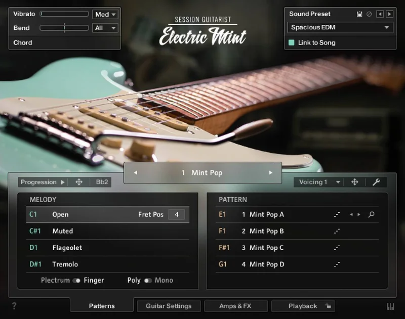 Native Instruments Session Guitarist - Electric Mint interface