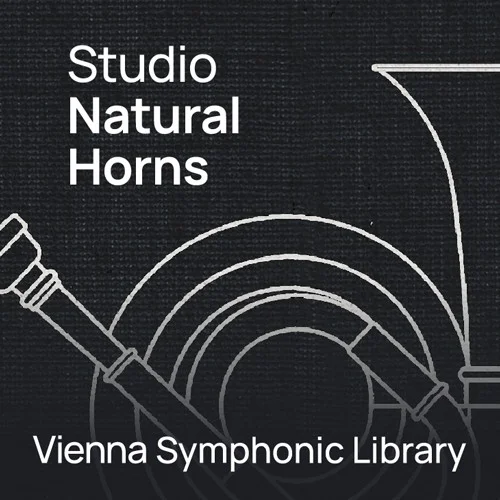 VSL SYNCHRON-ized Natural Horns interface