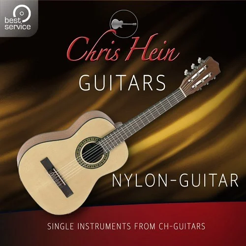 Best Service Chris Hein Guitars - Nylon-Guitar Add-On interface