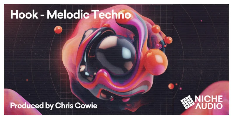 Niche Audio Hook: Melodic Techno interface