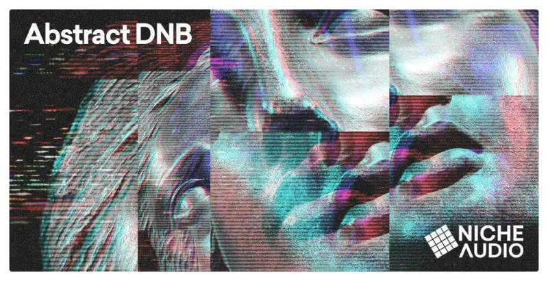Niche Audio Abstract DnB interface
