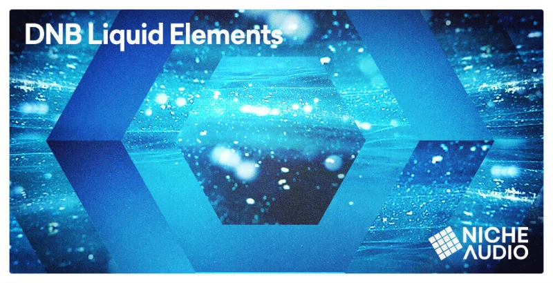 Niche Audio DnB Liquid Elements interface
