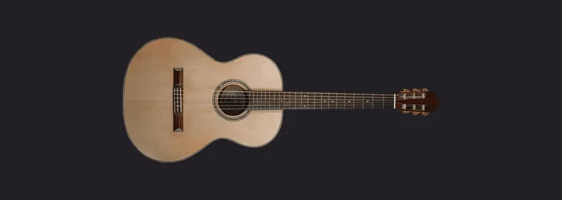 Soundpaint Instant Nylon Guitar interface