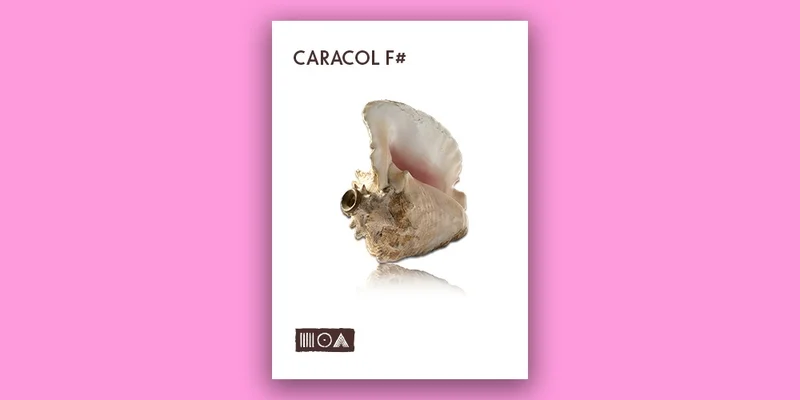 Sounds of the Earth Caracol F# interface