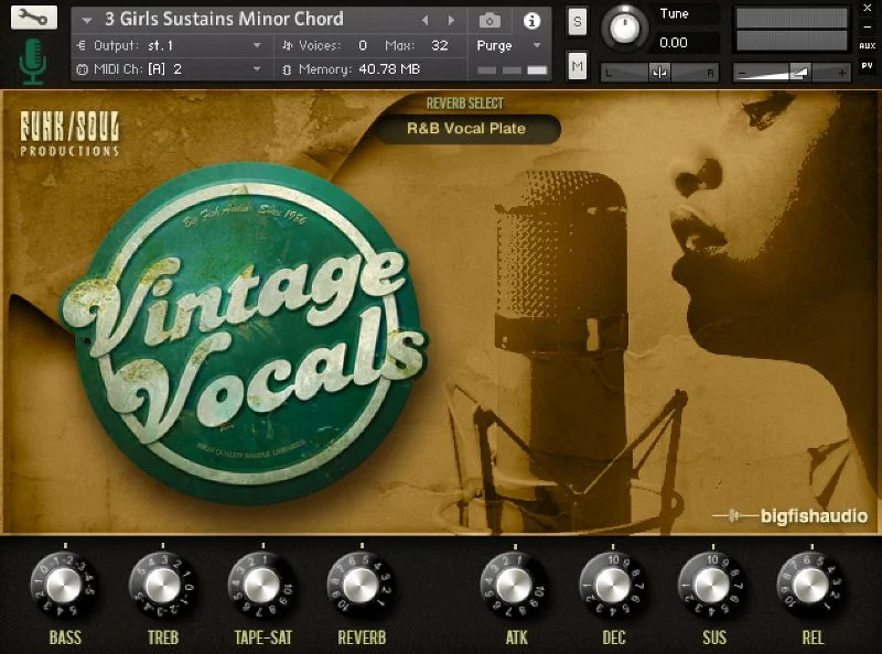 Big Fish Audio Vintage Vocals interface