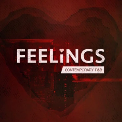 Big Fish Audio FEELINGS: Contemporary R&B interface