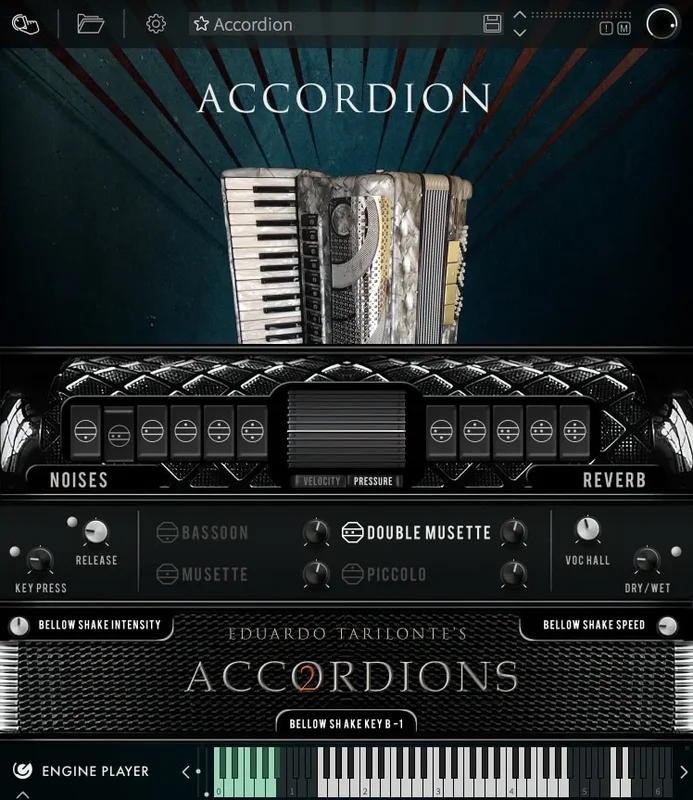 Engine Audio Accordions 2 - Collection interface