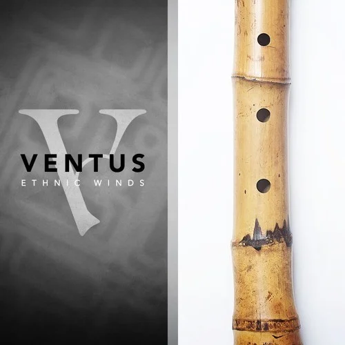 Impact Soundworks Shakuhachi interface