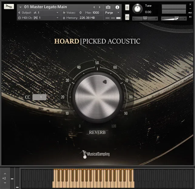 Musical Sampling Hoard Picked Acoustic interface