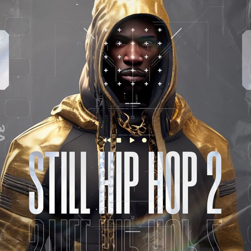 Diginoiz Still Hip Hop 2 interface