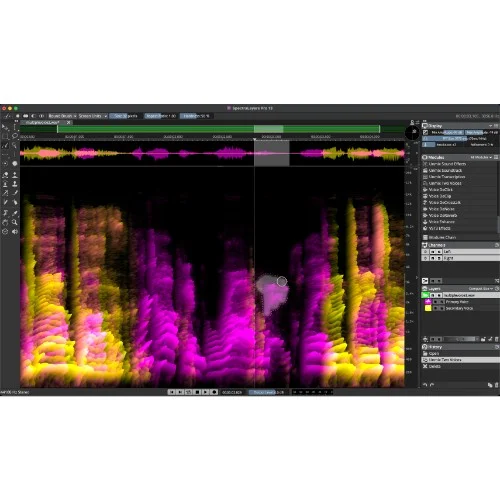 Steinberg Spectralayers Pro 12 Competitive Crossgrade interface
