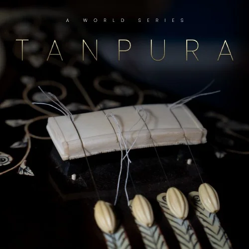 Evolution Series World Strings Tanpura interface