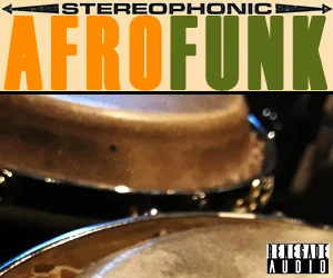 Renegade Audio Afro Funk interface