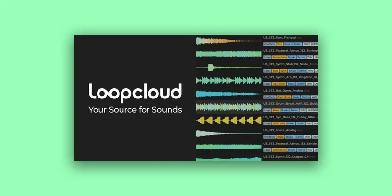 Loopcloud Plans Loopcloud 12-Month Professional Plan + 10 FREE Plugins interface