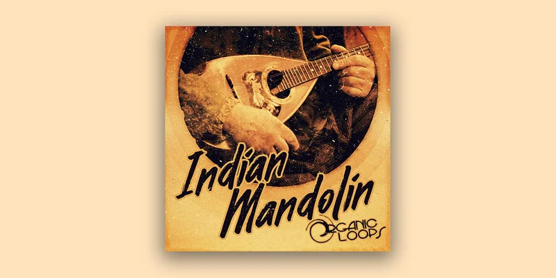 Organic Loops Indian Mandolin interface