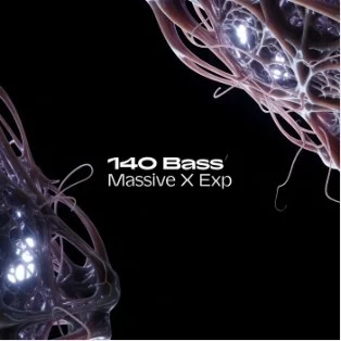 Native Instruments Massive X Expansion - 140 Bass interface