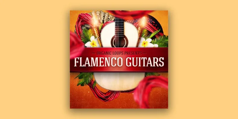 Organic Loops Flamenco Guitars interface