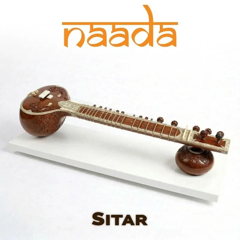 moForte GeoShred Naada Sitar for Mac interface