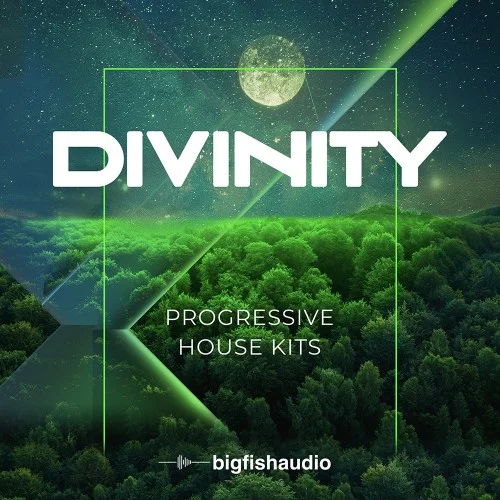 Big Fish Audio Divinity: Progressive House Kits interface
