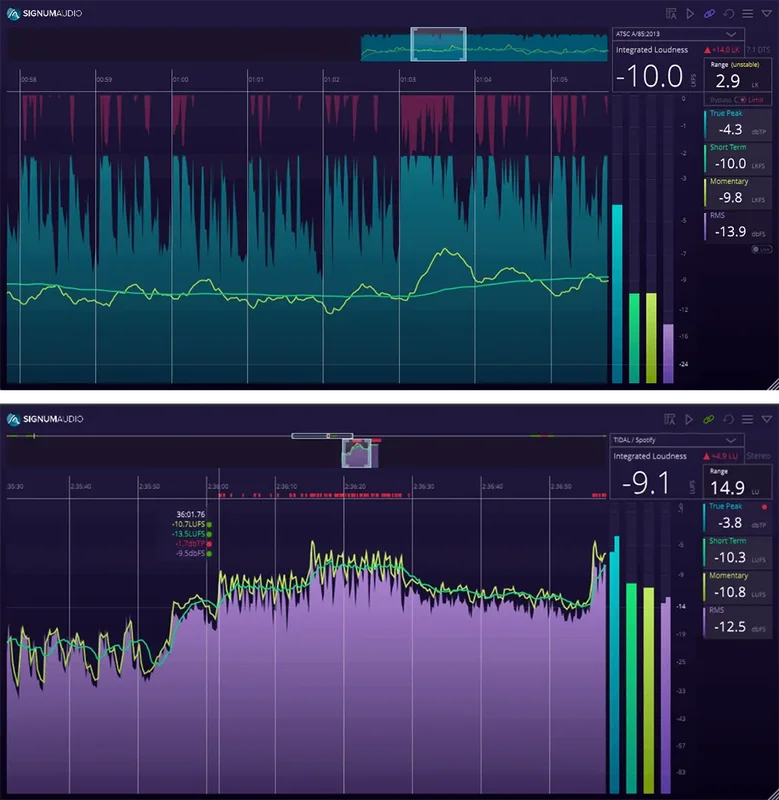 Signum Audio Bute Loudness Suite 2 Stereo interface