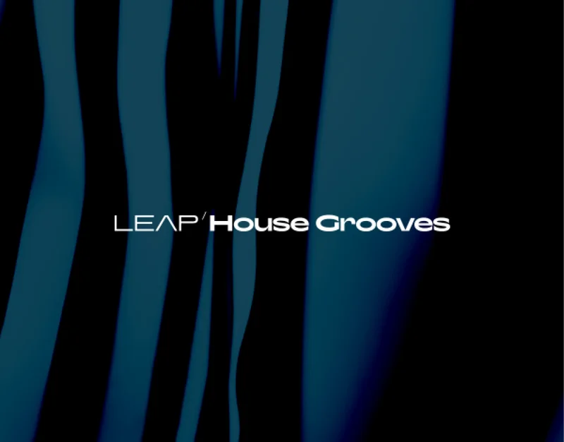 Native Instruments Leap Expansion - House Grooves interface
