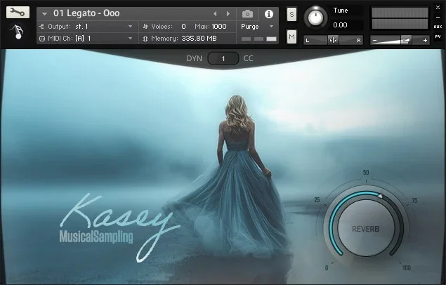 Musical Sampling Kasey interface