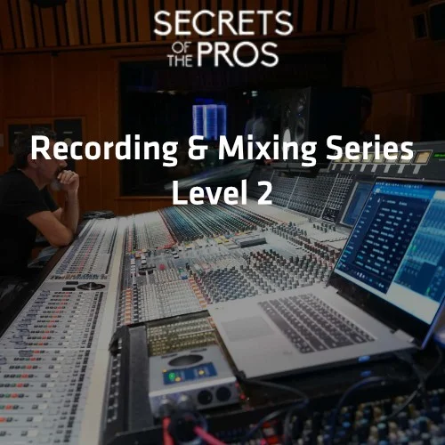 Secrets Of The Pros Recording and Mixing Level 2 interface