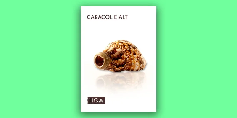 Sounds of the Earth Caracol E Alt interface