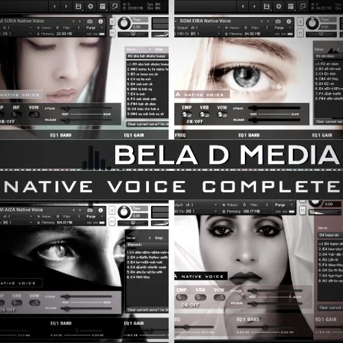 Bela D Media Native Voice Complete interface