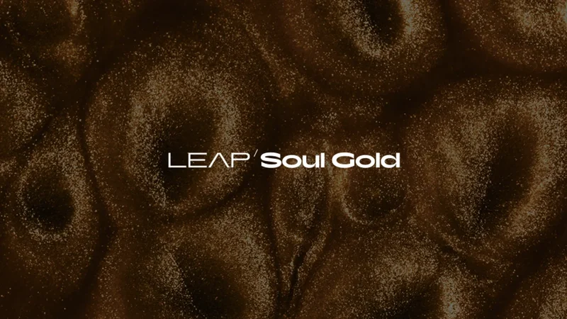 Soul Gold interface