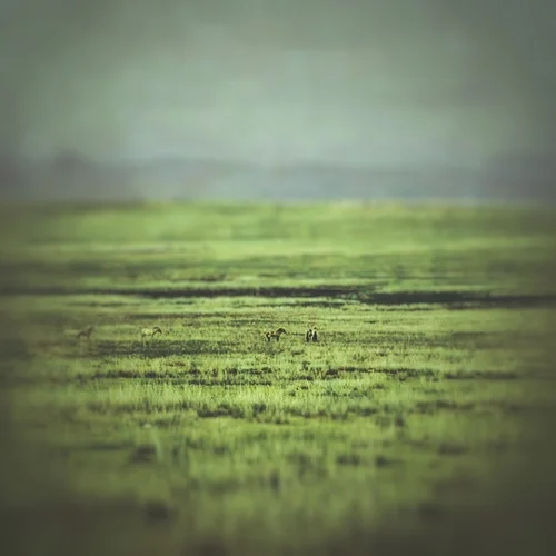 KLANG FREEZE: Tranquil Meadow for Ableton Live interface