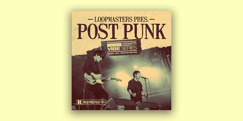Loopmasters VIBES 13 - Post Punk interface