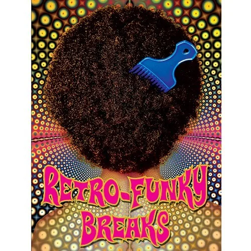 Big Fish Audio Retro-Funky Breaks interface