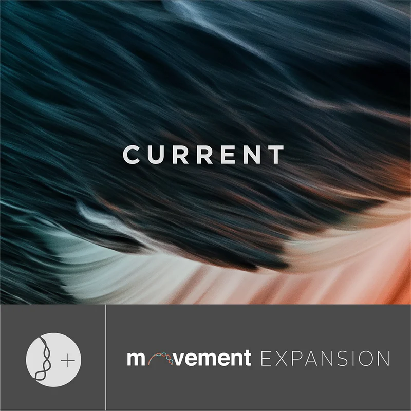 Output Current Expansion (for MOVEMENT) interface