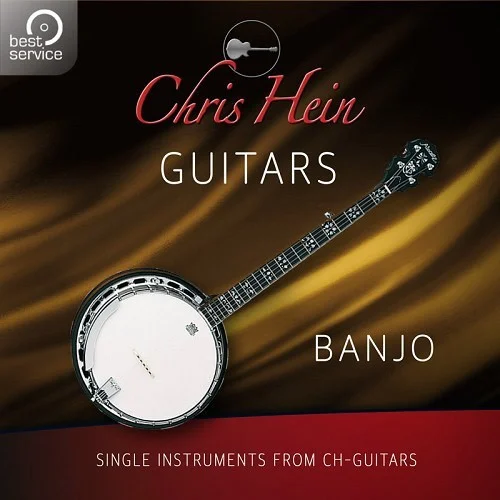 Best Service Chris Hein Guitars - Banjo Add-On interface