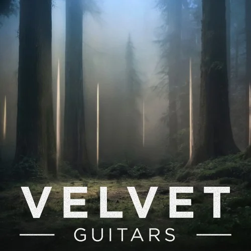 e-instruments Velvet Guitars Crossgrade interface