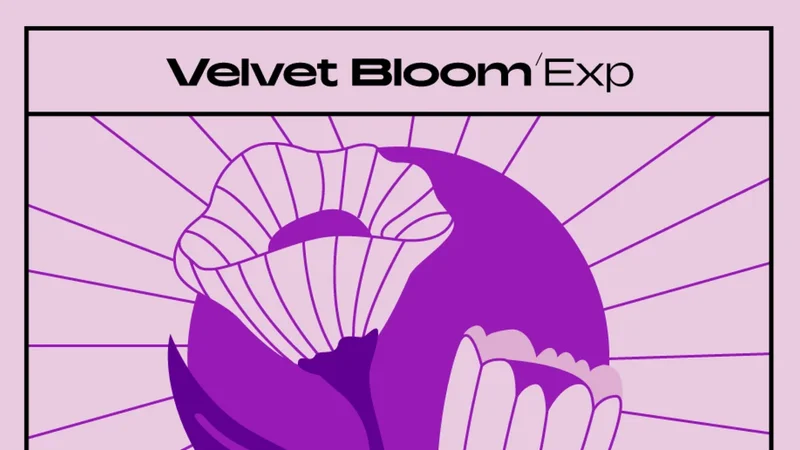 Native Instruments Velvet Bloom interface