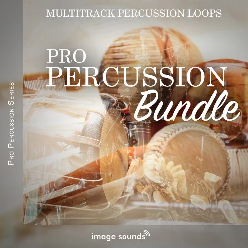 Pro Percussion Bundle interface