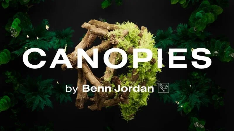 Lunacy Audio Canopies (CUBE Expansion) interface