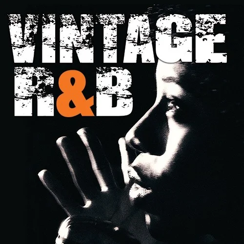 Big Fish Audio Vintage R&B interface
