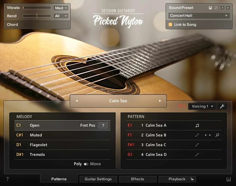 Native Instruments Session Guitarist - Picked Nylon interface