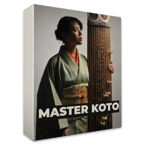 Rast Sound Master Koto interface