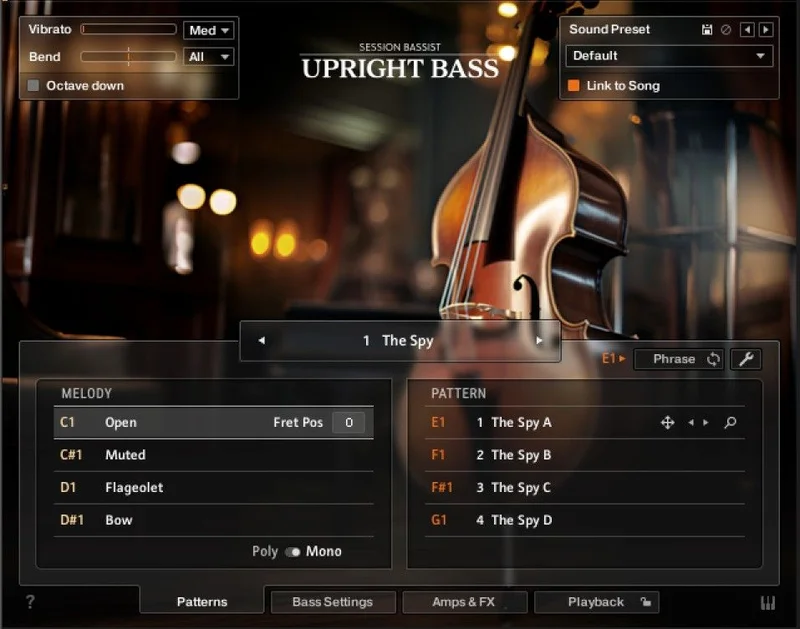 Native Instruments Session Bassist - Upright Bass interface