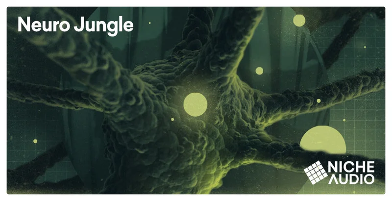 Niche Audio Neuro Jungle interface