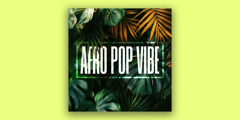 Diginoiz Afro Pop Vibe interface